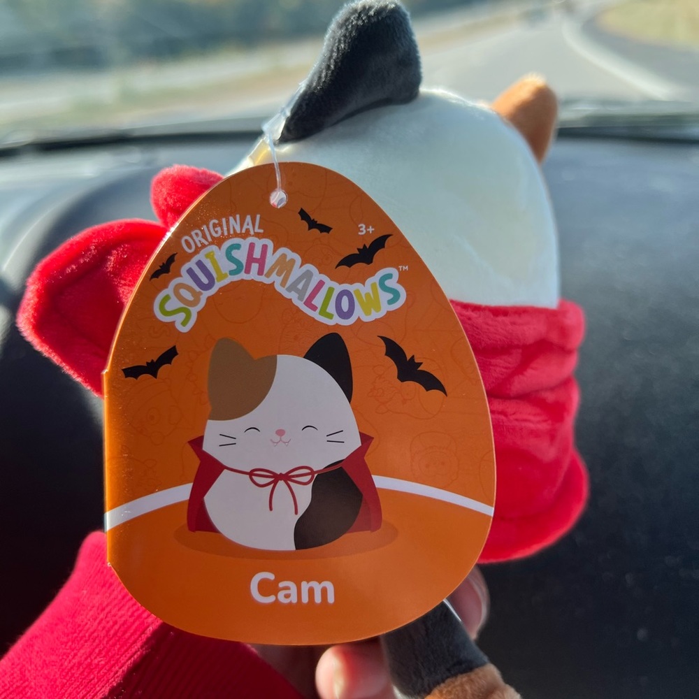 Squishmallow NEW Halloween Cam the Vampire Calico Cat 4.5” - Picture 2 of 3
